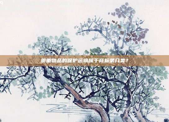 贵重物品的保护运输属于商标第几类？