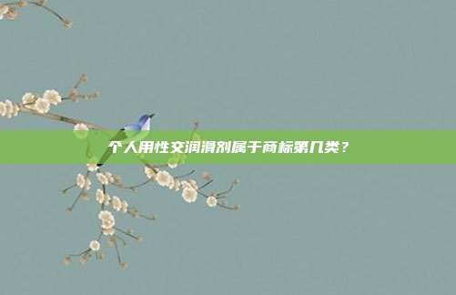 个人用性交润滑剂属于商标第几类？
