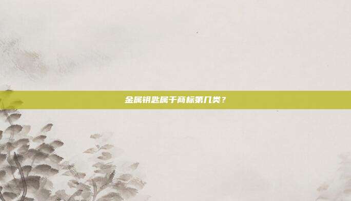 金属钥匙属于商标第几类？