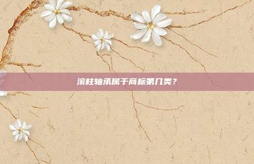 滚柱轴承属于商标第几类？
