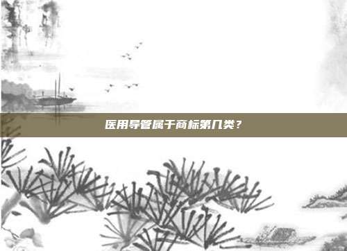 医用导管属于商标第几类?