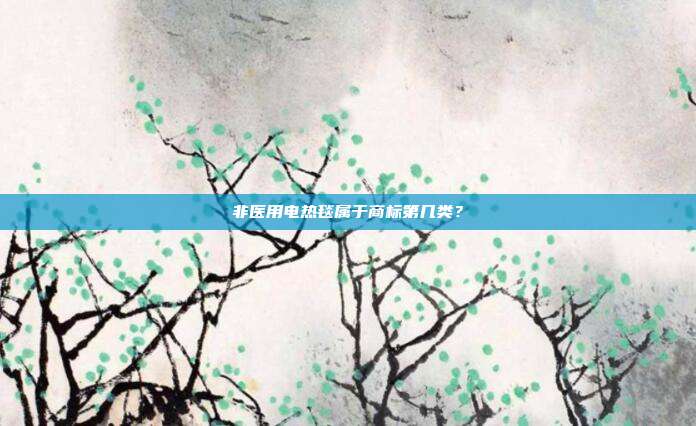 非医用电热毯属于商标第几类?