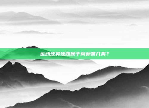 运动球类球胆属于商标第几类?