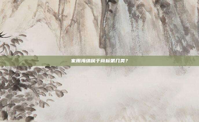 家用海绵属于商标第几类？