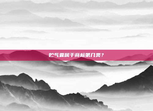 贮气囊属于商标第几类?
