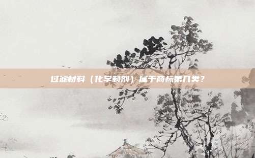 过滤材料（化学制剂）属于商标第几类？
