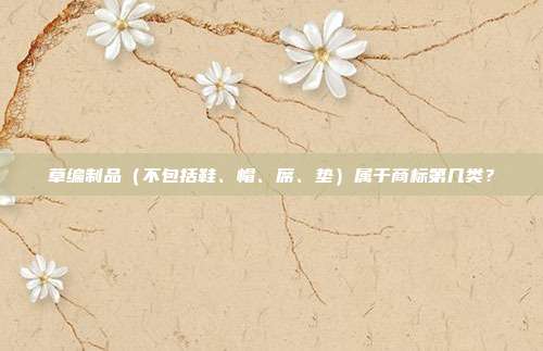 草编制品（不包括鞋、帽、席、垫）属于商标第几类？