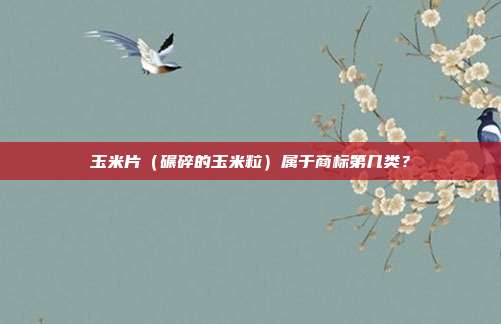 玉米片（碾碎的玉米粒）属于商标第几类？