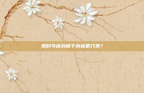 燃料节省剂属于商标第几类？