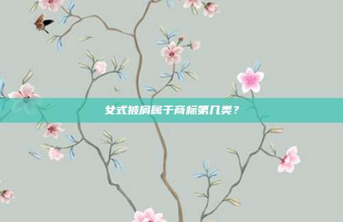 女式披肩属于商标第几类？