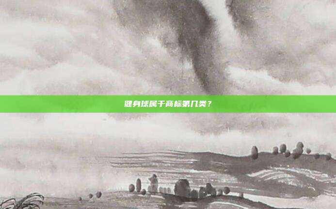 健身球属于商标第几类？