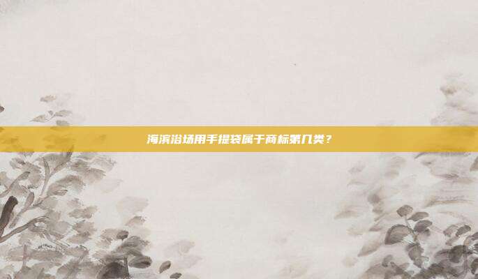 海滨浴场用手提袋属于商标第几类？