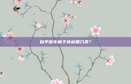 自平衡车属于商标第几类？