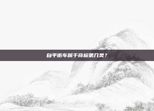 自平衡车属于商标第几类？
