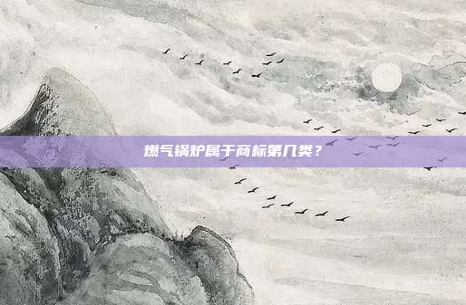 燃气锅炉属于商标第几类？