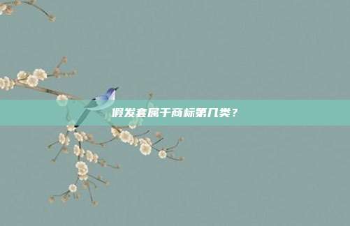 假发套属于商标第几类？