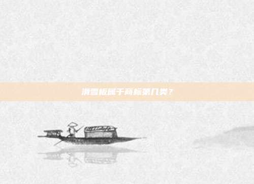 滑雪板属于商标第几类？