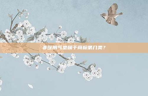 非医用气垫属于商标第几类？