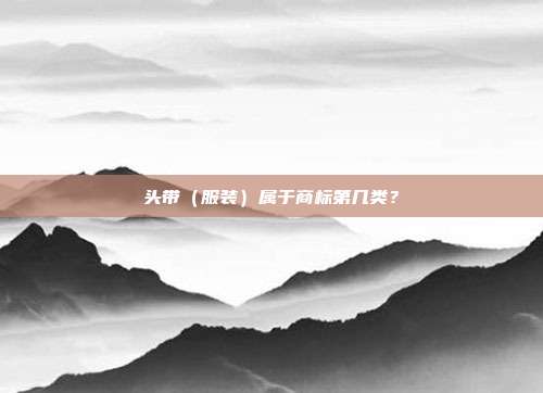 头带（服装）属于商标第几类？