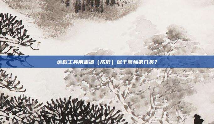 运载工具用盖罩（成形）属于商标第几类？