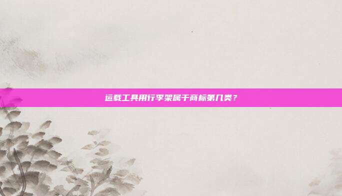 运载工具用行李架属于商标第几类？