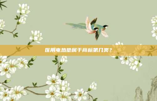 医用电热垫属于商标第几类？