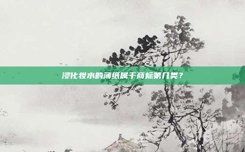 浸化妆水的薄纸属于商标第几类?