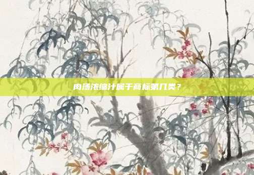 肉汤浓缩汁属于商标第几类？