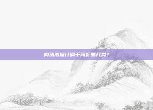 肉汤浓缩汁属于商标第几类？