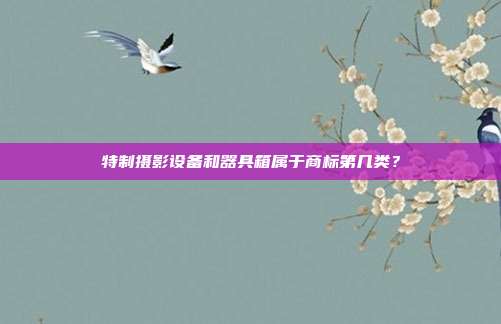 特制摄影设备和器具箱属于商标第几类?