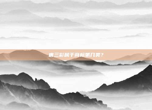 唐三彩属于商标第几类?