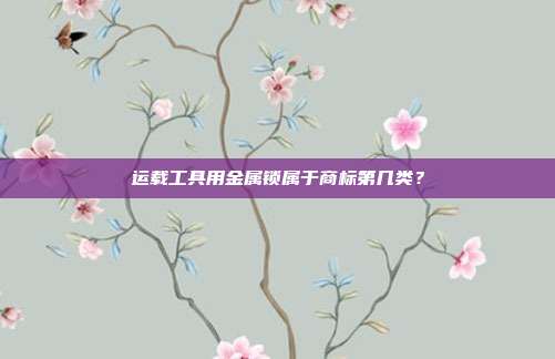 运载工具用金属锁属于商标第几类？