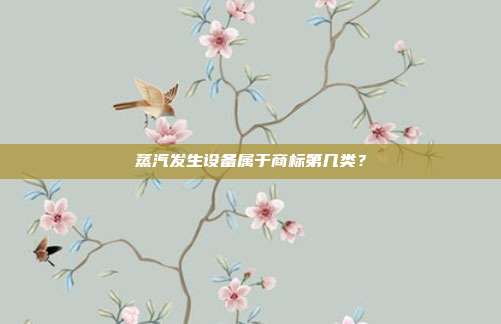 蒸汽发生设备属于商标第几类？
