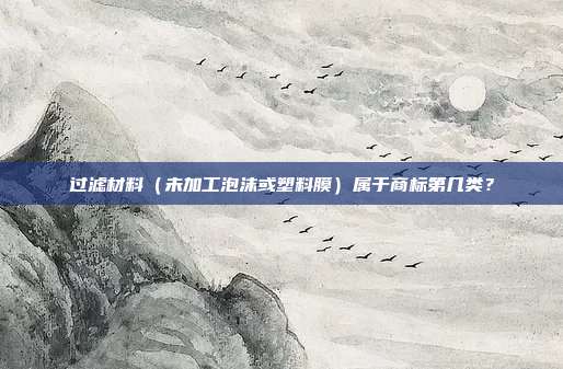 过滤材料（未加工泡沫或塑料膜）属于商标第几类？