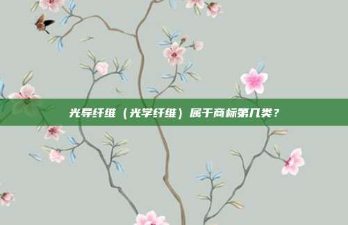 光导纤维（光学纤维）属于商标第几类？