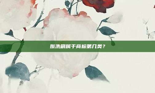 擦洗刷属于商标第几类？