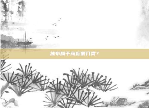 抹布属于商标第几类？