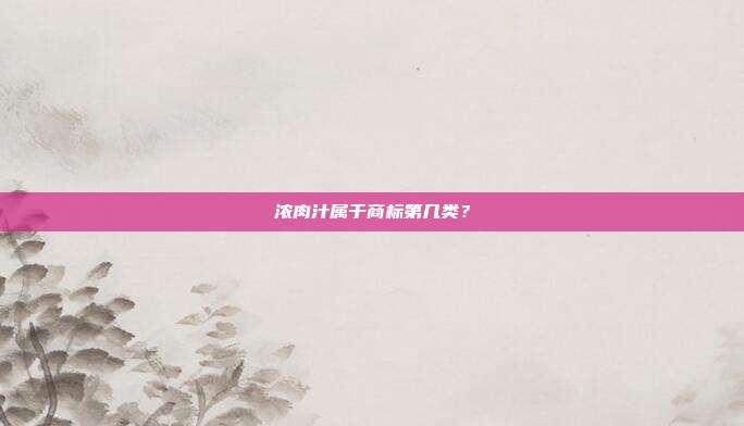 浓肉汁属于商标第几类？