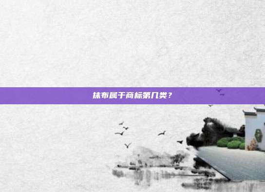 抹布属于商标第几类？
