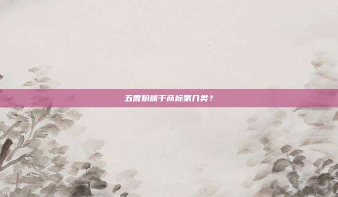 五香粉属于商标第几类？