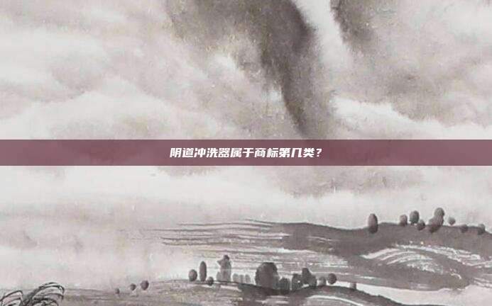 阴道冲洗器属于商标第几类？