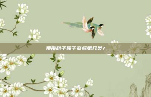 系带靴子属于商标第几类？