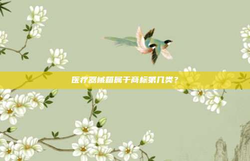 医疗器械箱属于商标第几类？