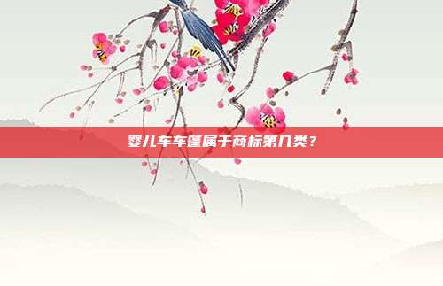 婴儿车车篷属于商标第几类?