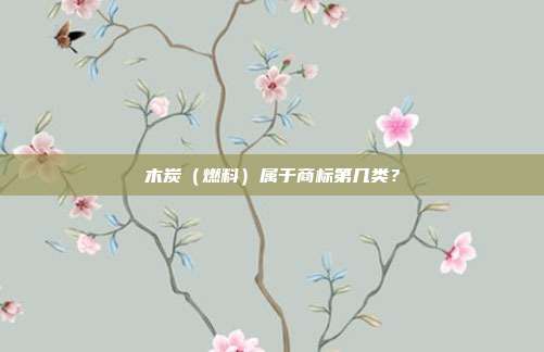 木炭（燃料）属于商标第几类？