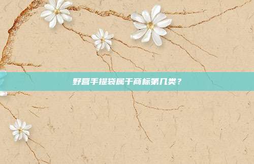 野营手提袋属于商标第几类?