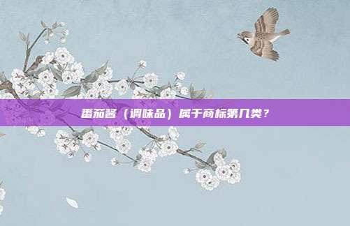 番茄酱（调味品）属于商标第几类？