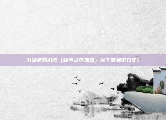 洗涤用热水器（煤气或电加热）属于商标第几类？