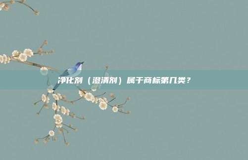 净化剂（澄清剂）属于商标第几类？