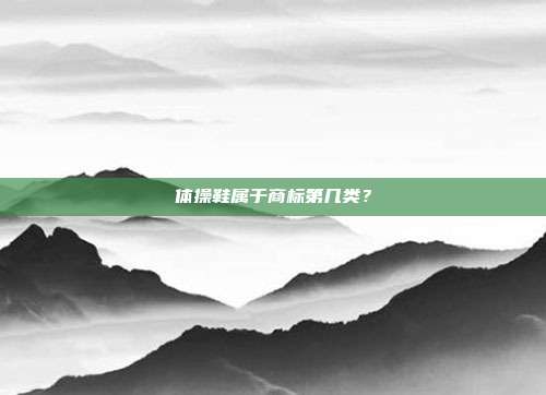 体操鞋属于商标第几类？